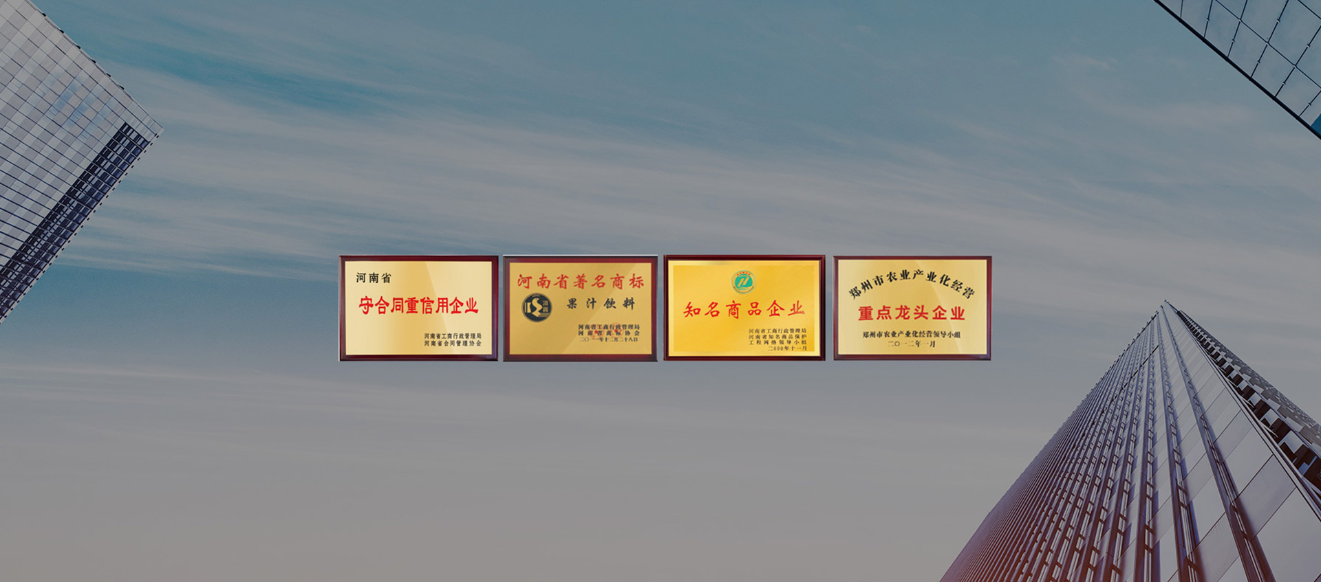 頂真資質(zhì)實(shí)力 · 榮譽(yù)見證成績